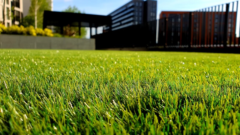 Gepflegter Rasen in österreichischem Garten