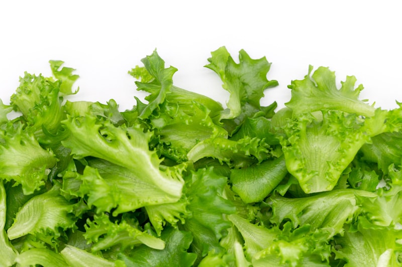 Frisches Gemüse aus dem eigenen Beet